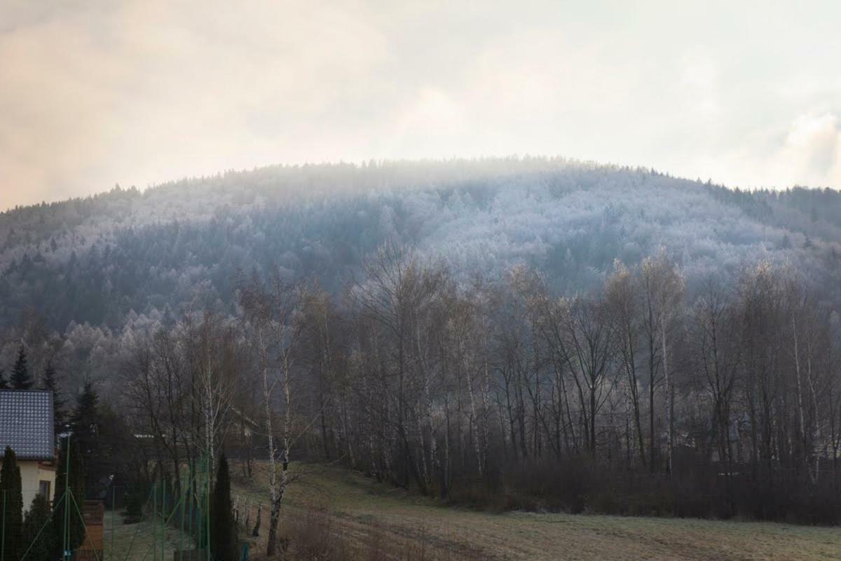 Noclegi Na Bukowym Stoku Czaniec Exteriér fotografie